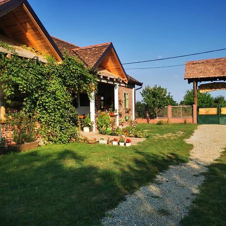 Amanet House Zasavica Διαμέρισμα Εξωτερικό φωτογραφία