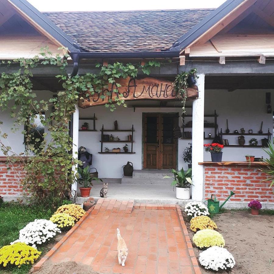 Amanet House Zasavica Διαμέρισμα Εξωτερικό φωτογραφία