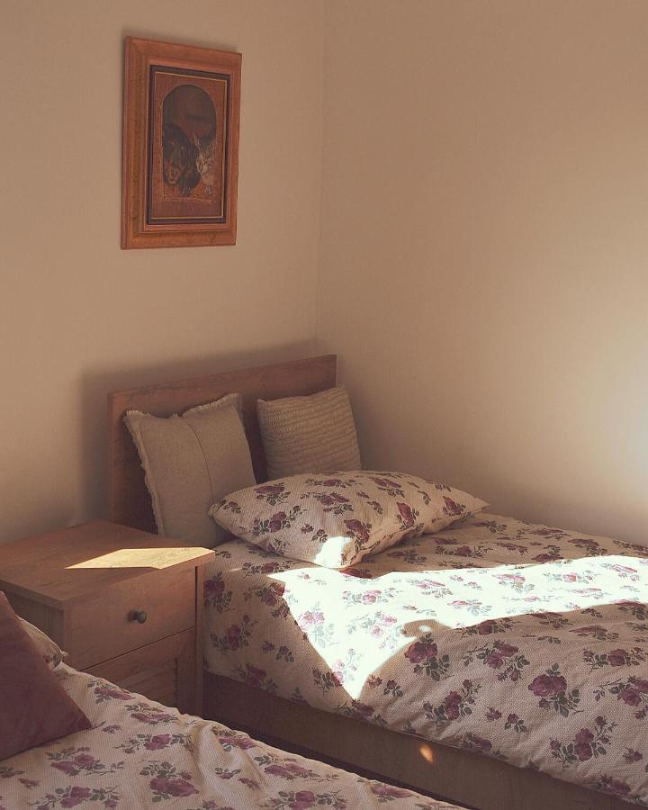 Amanet House Zasavica Διαμέρισμα Εξωτερικό φωτογραφία
