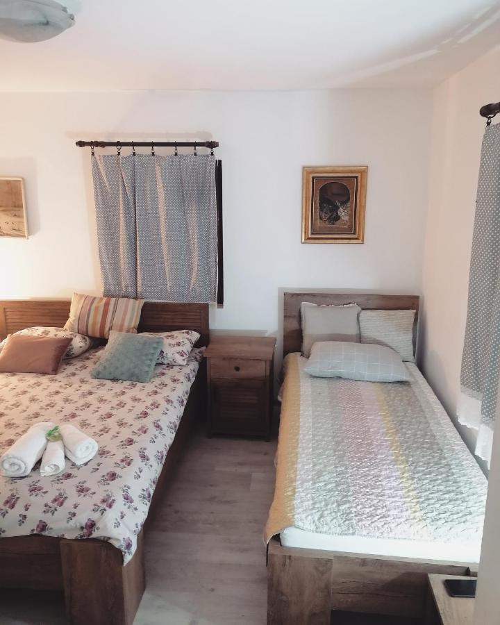 Amanet House Zasavica Διαμέρισμα Εξωτερικό φωτογραφία
