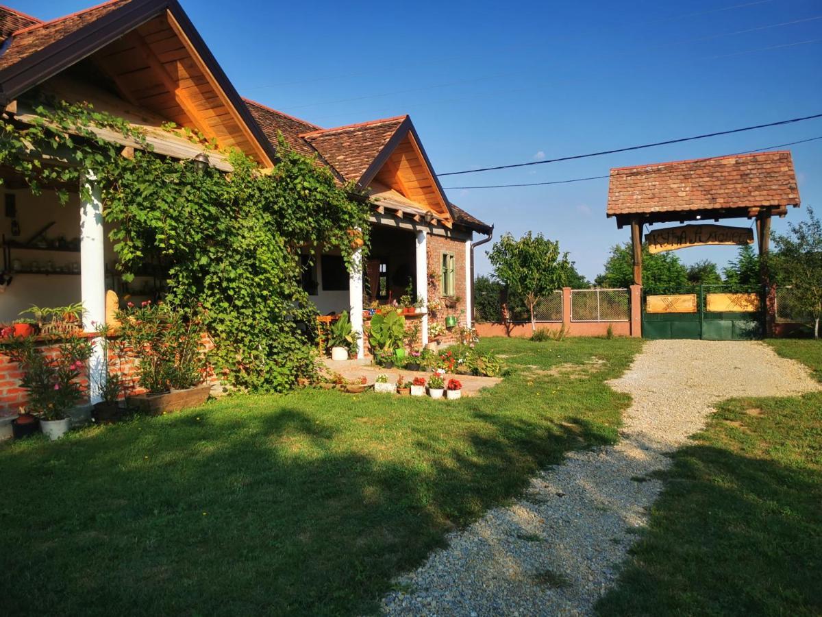 Amanet House Zasavica Διαμέρισμα Εξωτερικό φωτογραφία