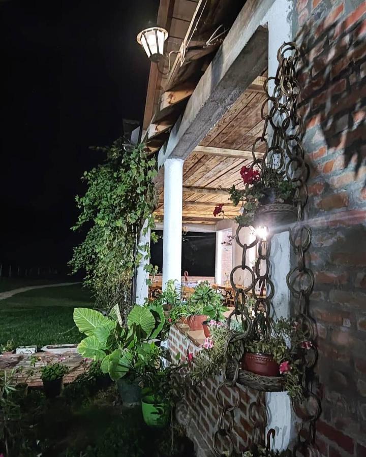 Amanet House Zasavica Διαμέρισμα Εξωτερικό φωτογραφία