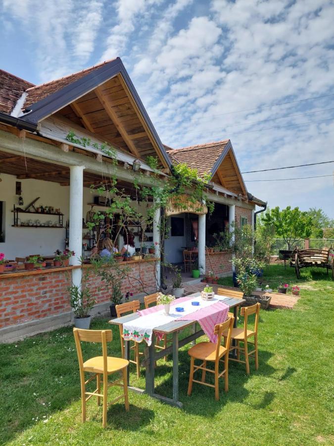 Amanet House Zasavica Διαμέρισμα Εξωτερικό φωτογραφία