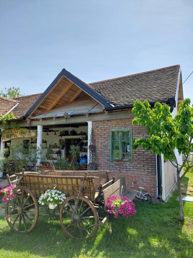 Amanet House Zasavica Διαμέρισμα Εξωτερικό φωτογραφία