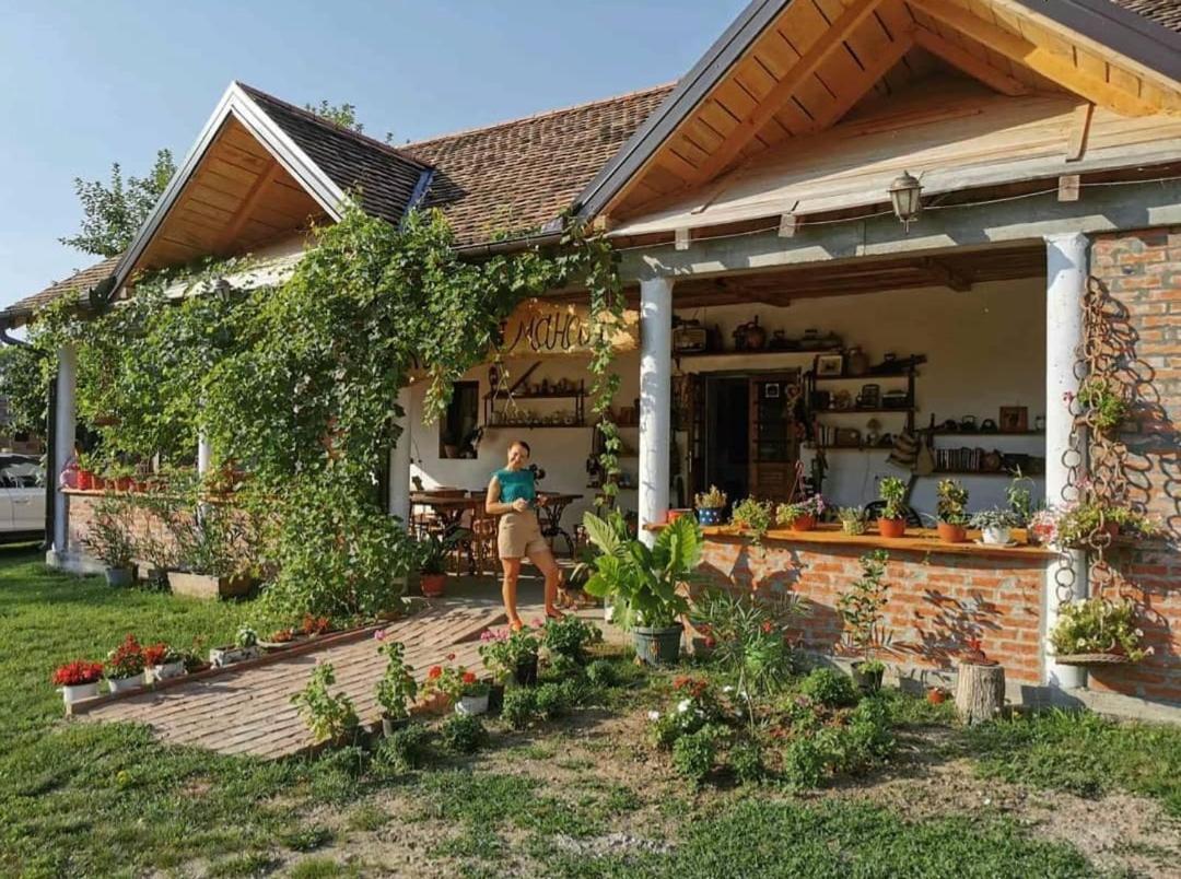Amanet House Zasavica Διαμέρισμα Εξωτερικό φωτογραφία