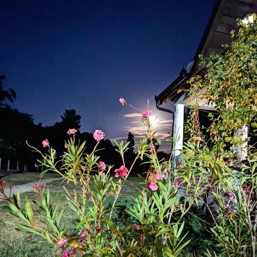 Amanet House Zasavica Διαμέρισμα Εξωτερικό φωτογραφία